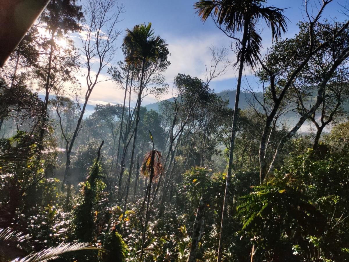 Villoonnickal Homestay Munnar Bagian luar foto