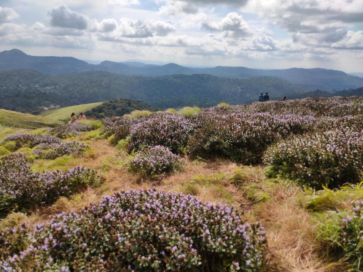 Villoonnickal Homestay Munnar Bagian luar foto